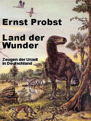 cover image of Land der Wunder